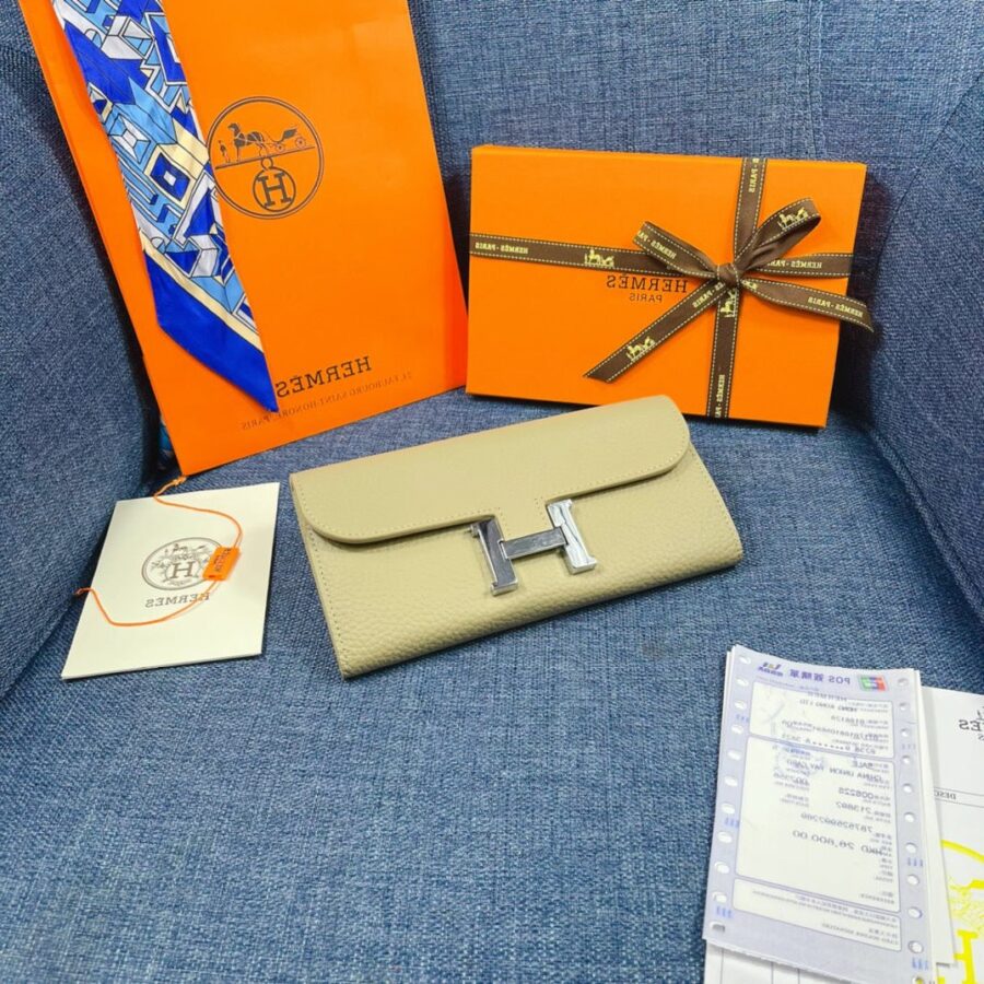 Louis Vuitton Constance silver bag – front view