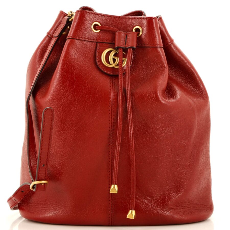 Designer Backpack bag – front view