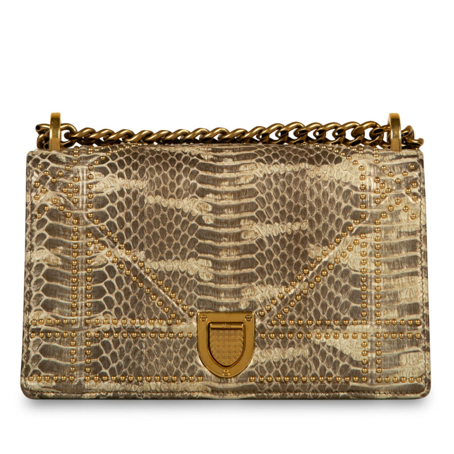 Dior handbag – front view